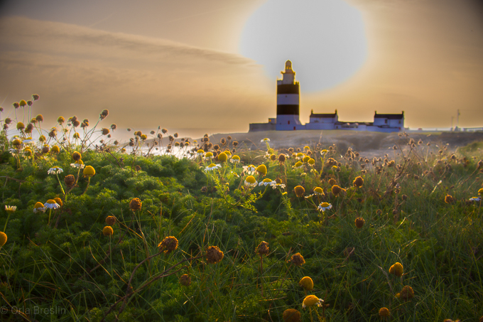 The Hook Lighthouse Summer 2023